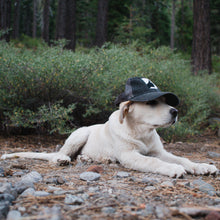 Load image into Gallery viewer, HAT